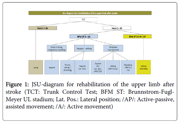 Brunnstrom Stages Of Recovery Chart Pdf