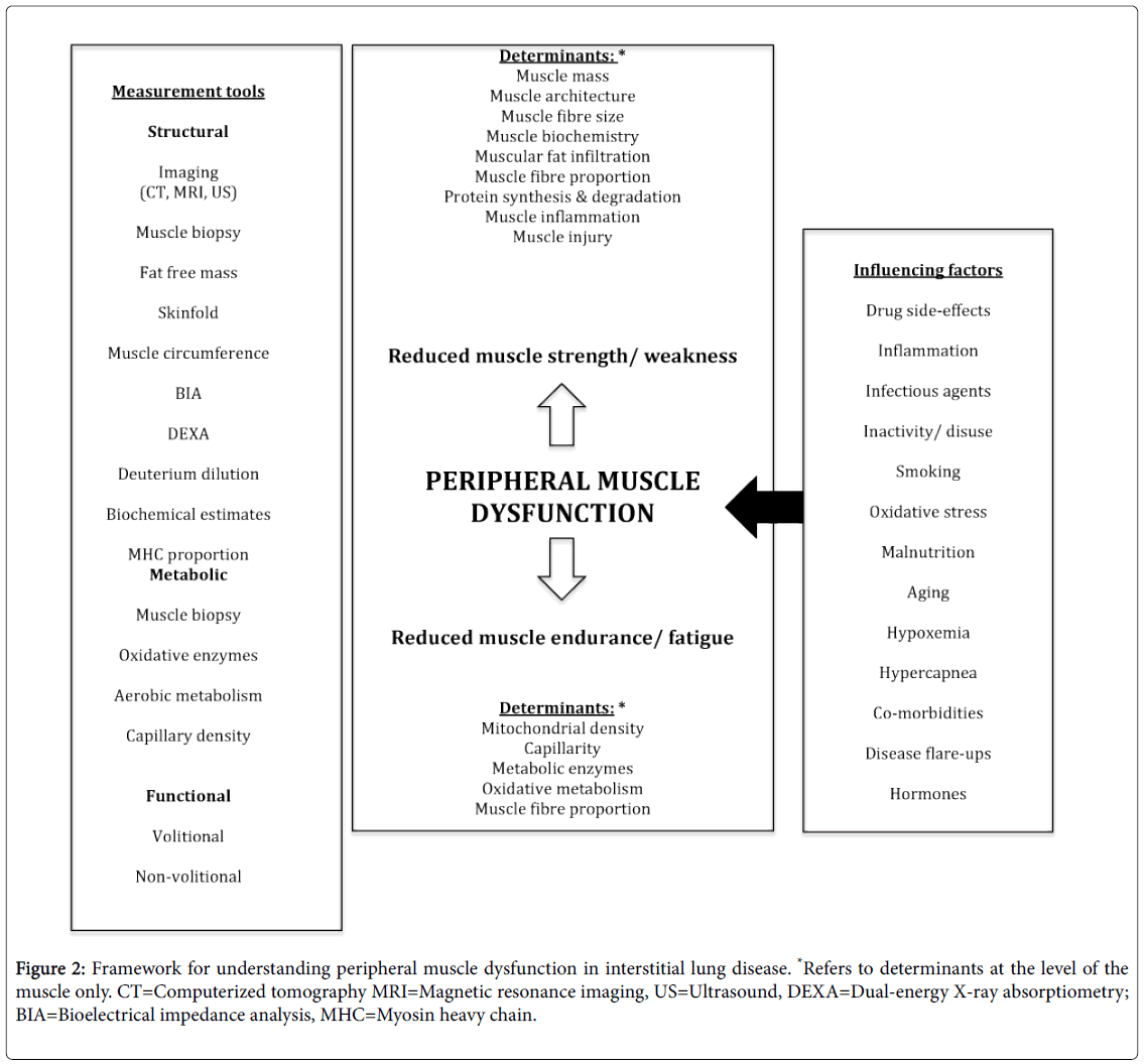 a research on life expectancy and the factors contributing to it Research , methods maj m untangling the factors contributing to functional for sepsis and septic shock income and life expectancy in the us jnc 8 guideline. a research on life expectancy and the factors contributing to it Research , methods maj m untangling the factors contributing to functional for sepsis and septic shock income and life expectancy in the us jnc 8 guideline.