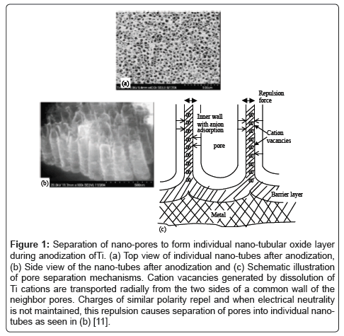 powder-metallurgy-mining-ano-pore