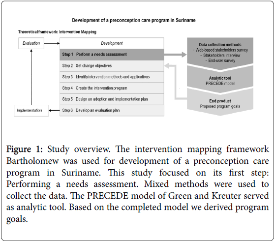 pregnancy-and-child-health-Study-overview-intervention-mapping