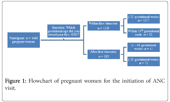 pregnancy-child-health-pregnant-women