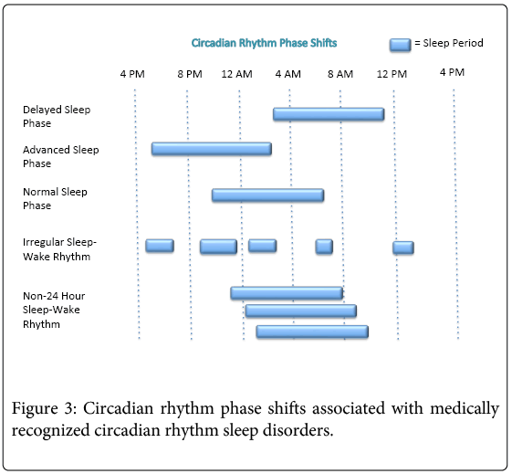 circadian rhythm sleep disorder pdf