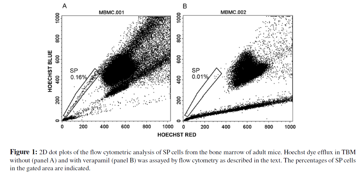 bioinformatic dot plot generator www picsbud com dot plot generator