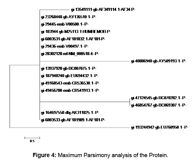 computer parts essay kannada wikipedia