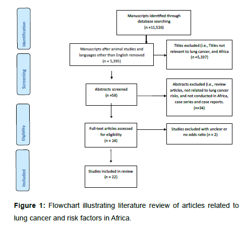 Pathophysiology Of Lung Cancer In Flow Chart