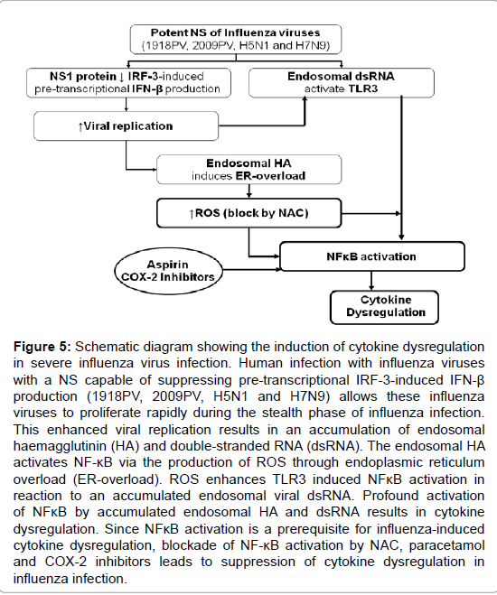 pulmonary-respiratory-medicine-bacteria-induced pulmonary-respiratory-medicine-bacteria-induced