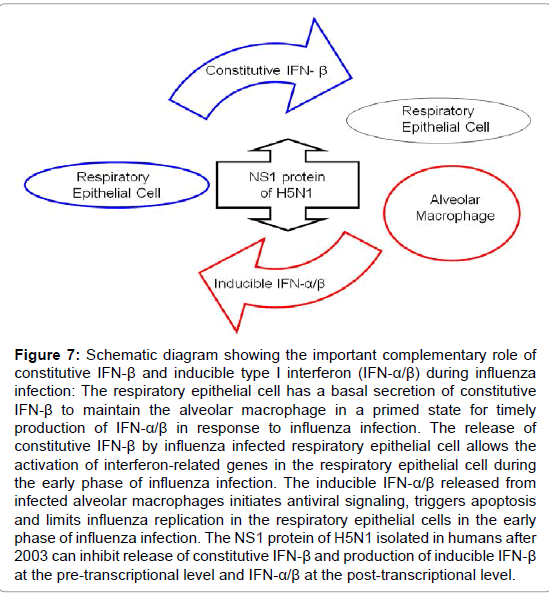pulmonary-respiratory-medicine-pre-transcriptional pulmonary-respiratory-medicine-pre-transcriptional