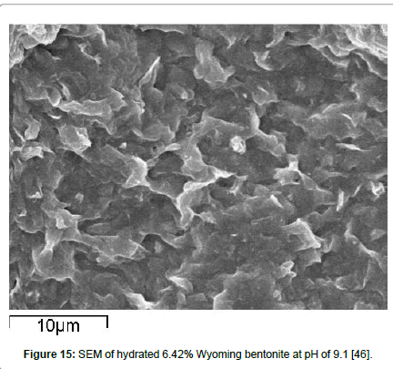 rheology-Wyoming-bentonite