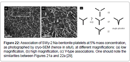 rheology-high-magnification