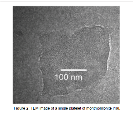 rheology-platelet-montmorillonite