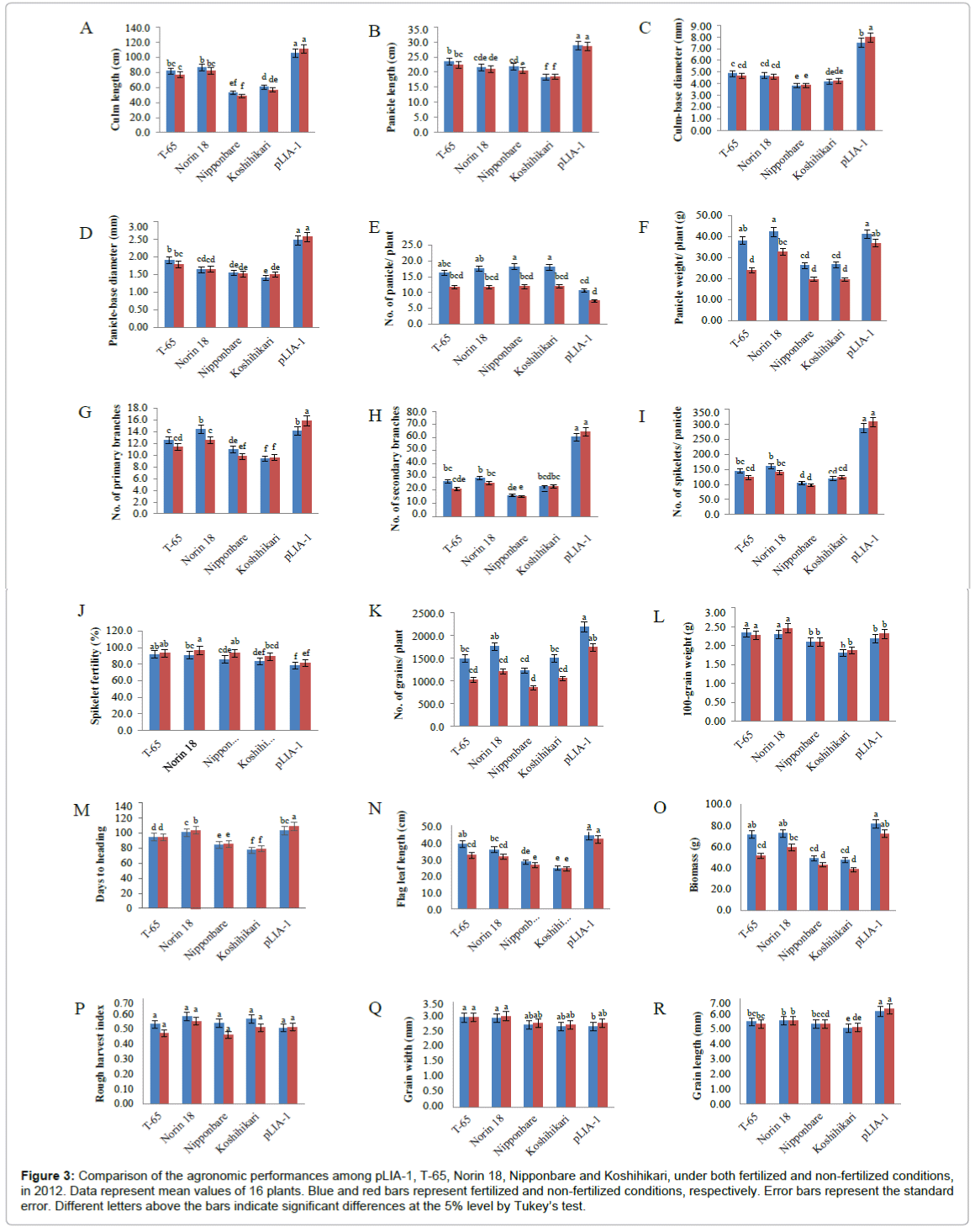 rice-research-Comparison-agronomic-performances