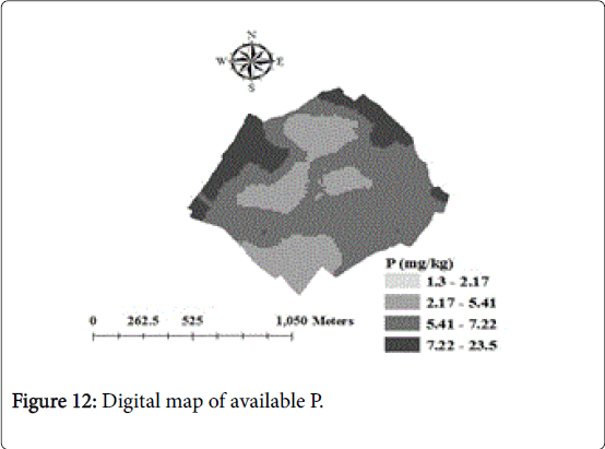 rice-research-Digital-map