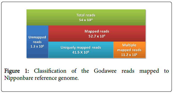 rice-research-Godawee-reads