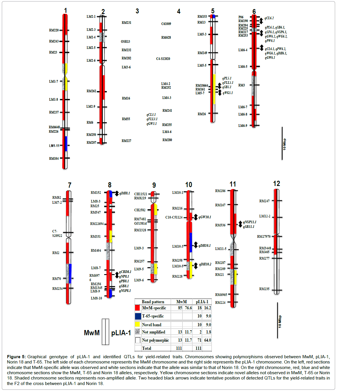 rice-research-Graphical-genotype-pLIA-1