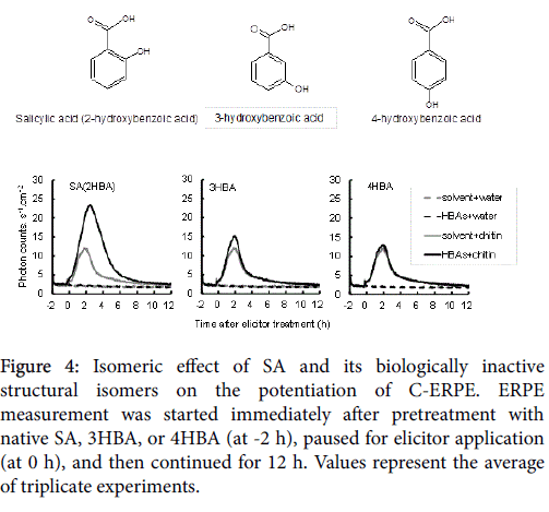 rice-research-Isomeric-effect-SA