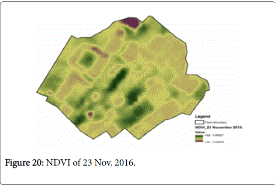rice-research-NDVI-Nov