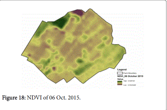 rice-research-NDVI-Oct