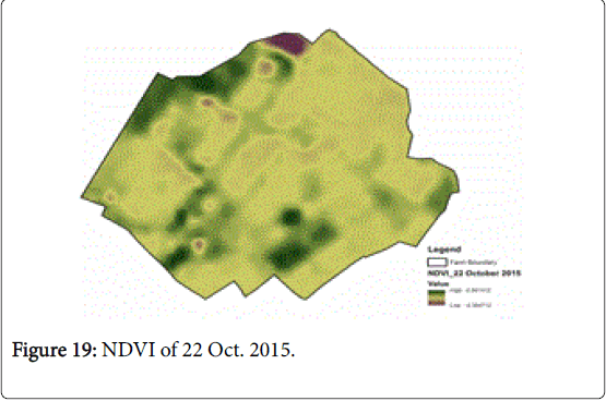 rice-research-NDVI-Oct
