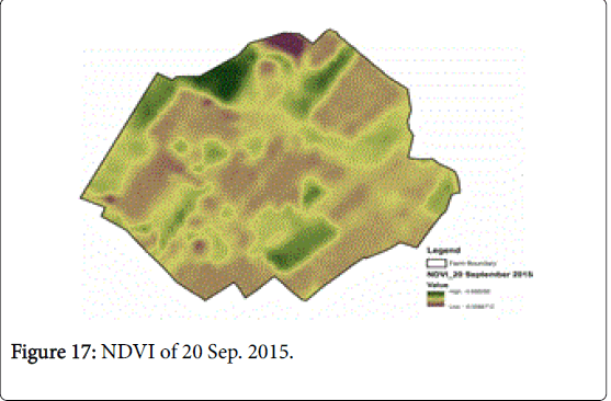 rice-research-NDVI-Sep