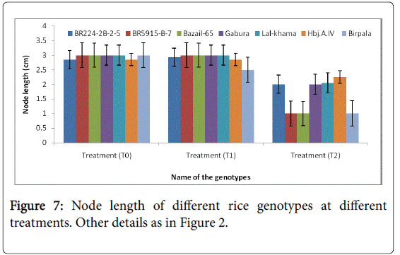 rice-research-Node-length-different