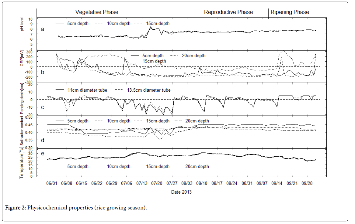 rice-research-Physicochemical-properties