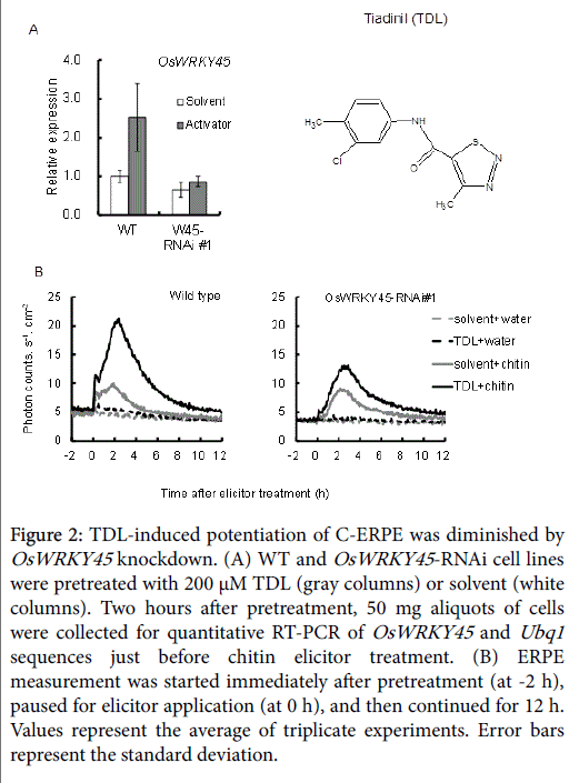 rice-research-TDL-induced-potentiation
