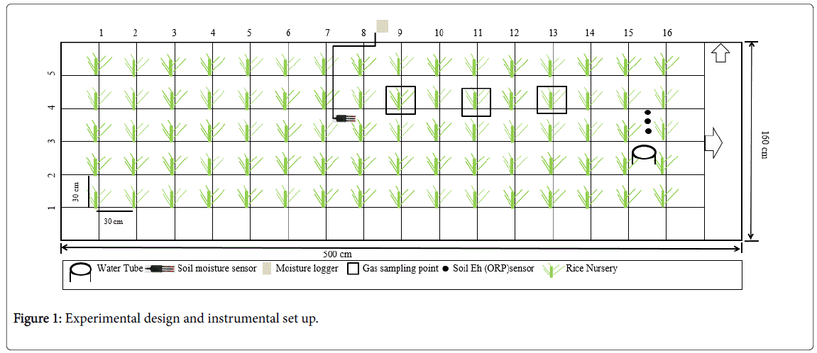 rice-research-design-instrumental-set-up