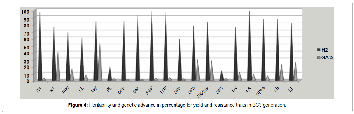rice-research-genetic-advance