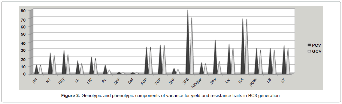 rice-research-phenotypic-components