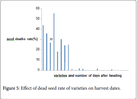 rice-research-seed-rate