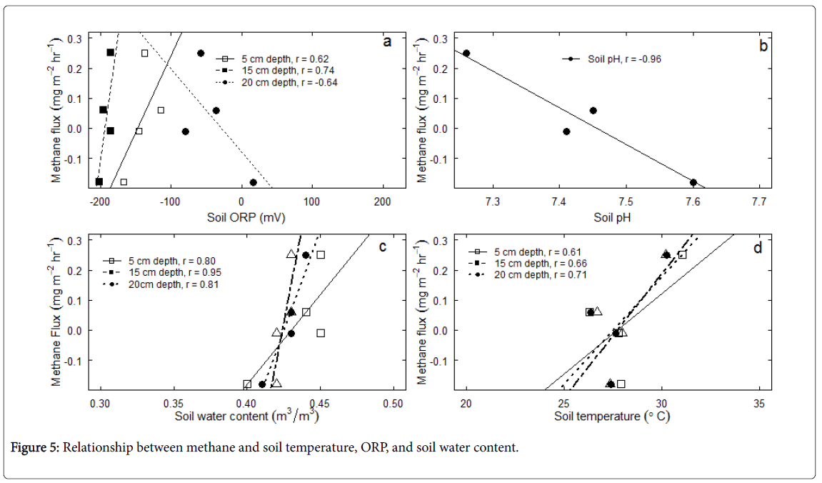 rice-research-soil-water-content