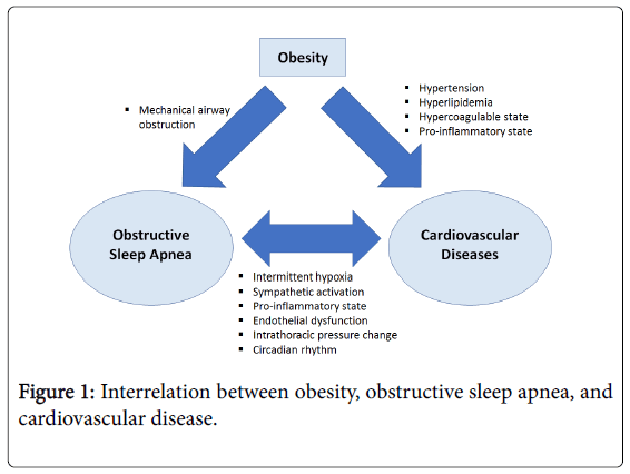 Case study on hypertension cardiovascular diseases