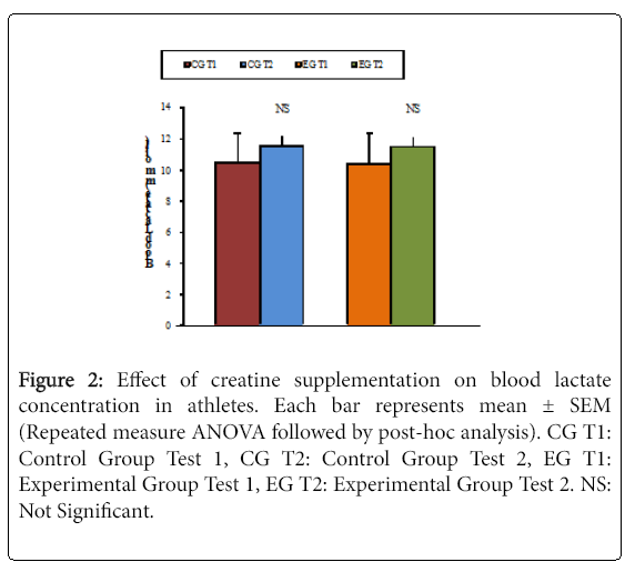 sports-nutrition-effect-creatine-supplementation-blood