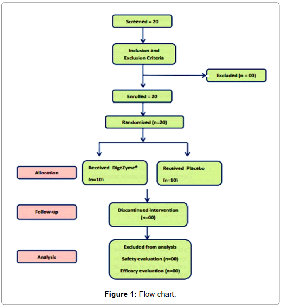 Muscle Contraction Flow Chart