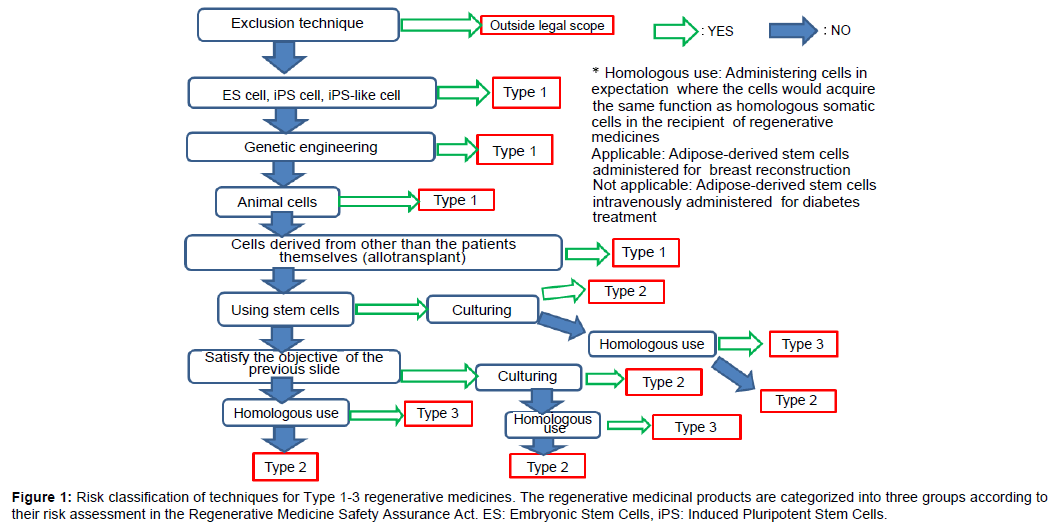 persuasive stem cell essays persuasive stem cell essays
