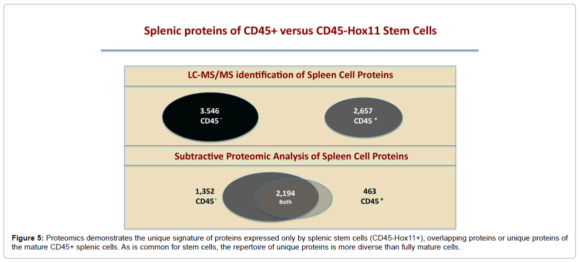 embryonic stem cell research more beneficial Stem cell research paper sample this information enables the scientist to develop in the laboratory both embryonic and non-embryonic stem cells more effectively special conditions and factors, which allow stem cells to stay unspecialized, are matters of significant importance to researchers it took them quite a long time doing trial and. embryonic stem cell research more beneficial Stem cell research paper sample this information enables the scientist to develop in the laboratory both embryonic and non-embryonic stem cells more effectively special conditions and factors, which allow stem cells to stay unspecialized, are matters of significant importance to researchers it took them quite a long time doing trial and.