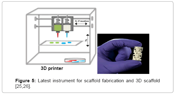 biomedical engineering tissue engineering scaffold biomedical engineering tissue engineering scaffold
