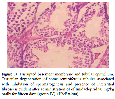 toxicology-Disrupted-basement