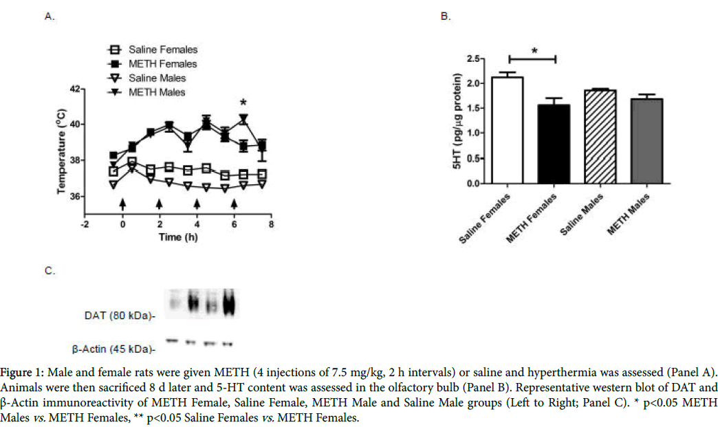 toxicology-Male-female-rats