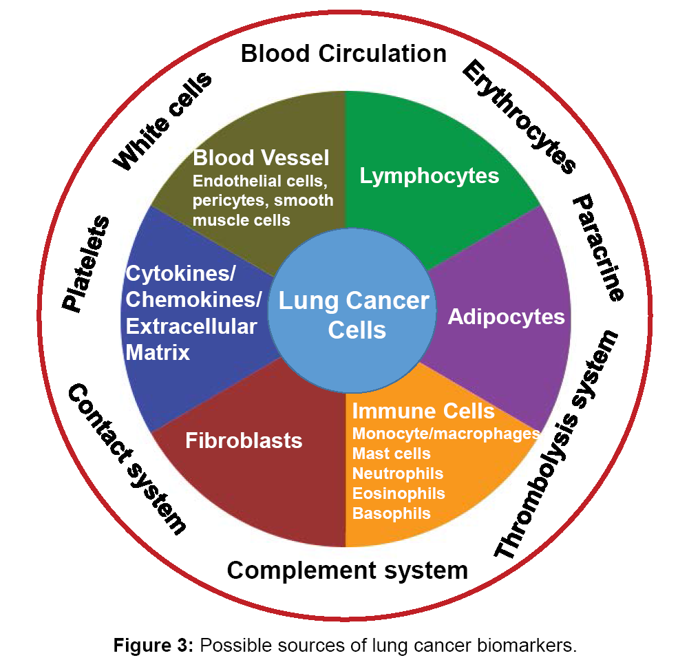 ebook ciba foundation symposium