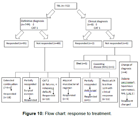 tuberculosis-therapeutics-flow-chart-response-treatment