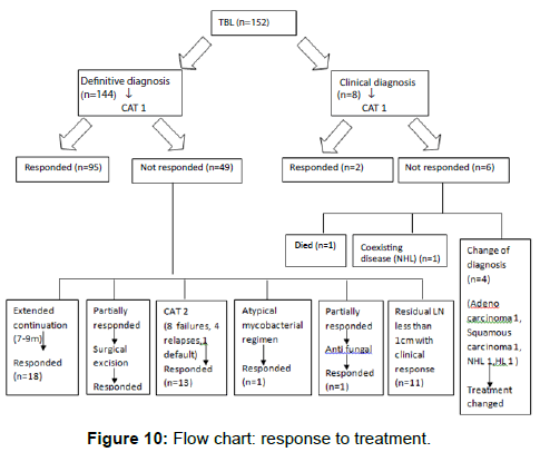 Pathophysiology Of Tuberculosis In Flow Chart