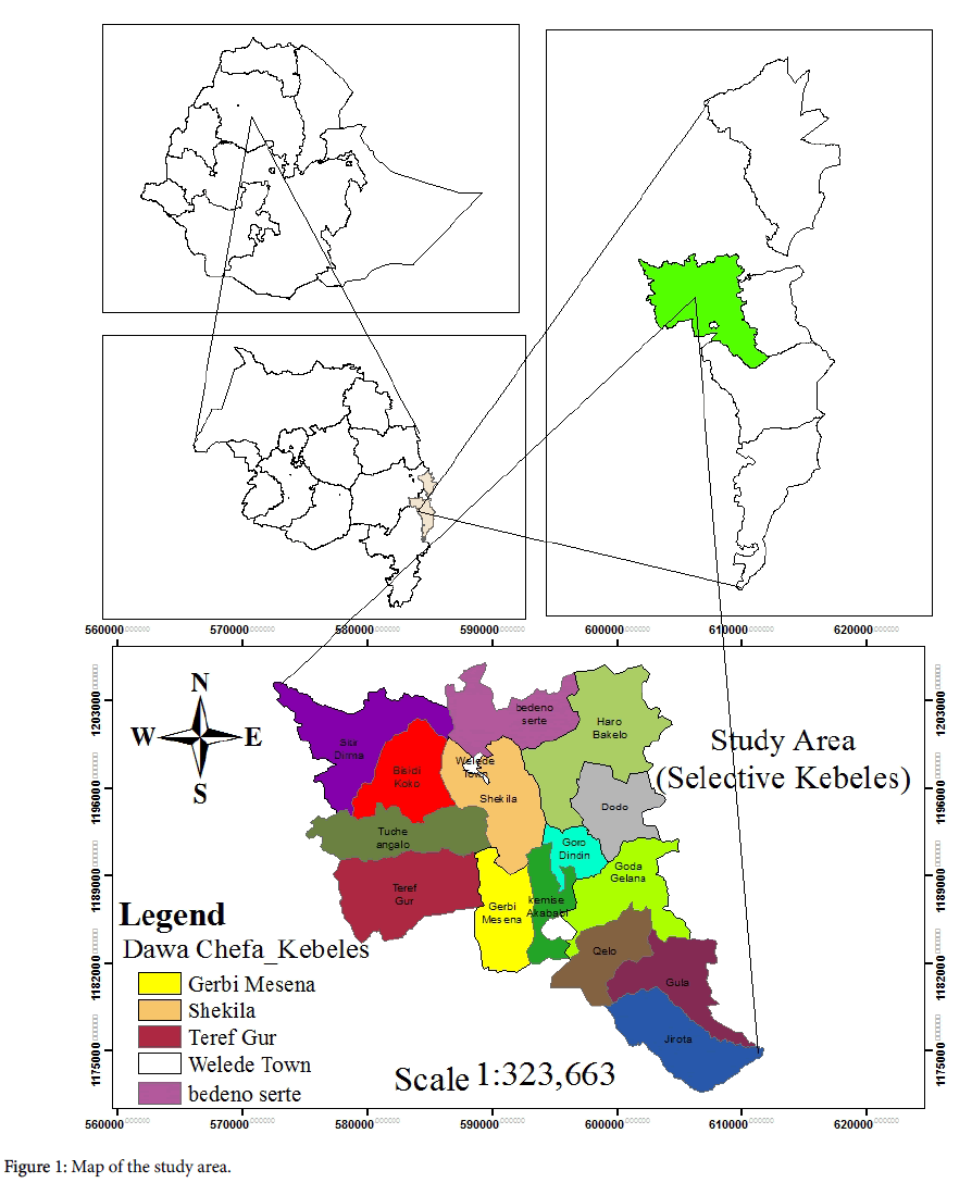 Dissertation in problems faced by milk producers in india