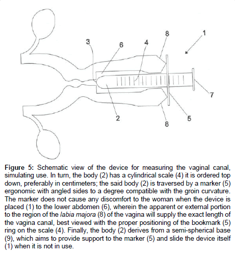 Theme, interesting Deep vaginal insertion machines risk Are not Deep vaginal insertion machines remarkable