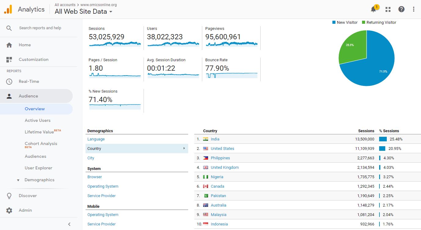 Visitor Analysis Report