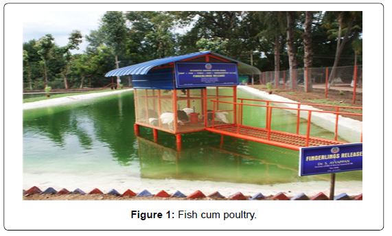 Fish: Fishing and fish farming in aquacultures - ProVeg International