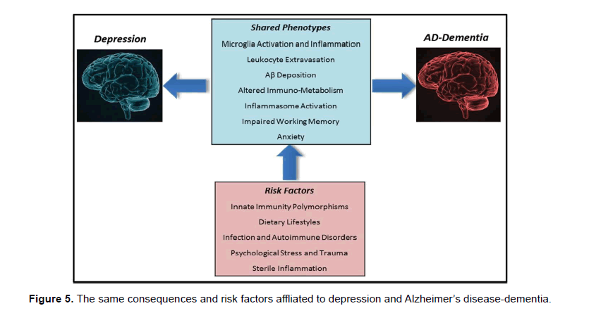 Psychological Distress May Be Causal Risk Factor for Dementia - Southern  Iowa Mental Health Center