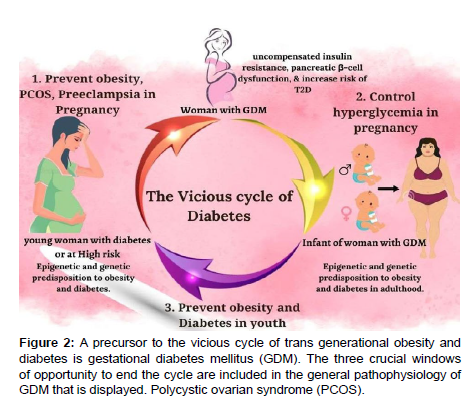 clinical-pharmacology-precursor