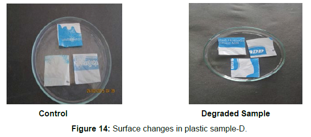 bioremediation-biodegradation-Surface