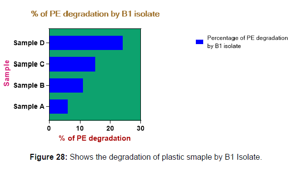 bioremediation-biodegradation-plastic
